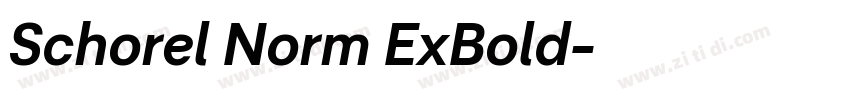 Schorel Norm ExBold字体转换